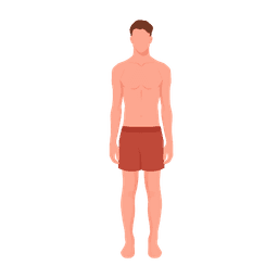 Body pillar illustration